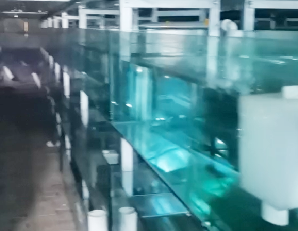 20万大卡生物质热水炉应用于观赏鱼恒温